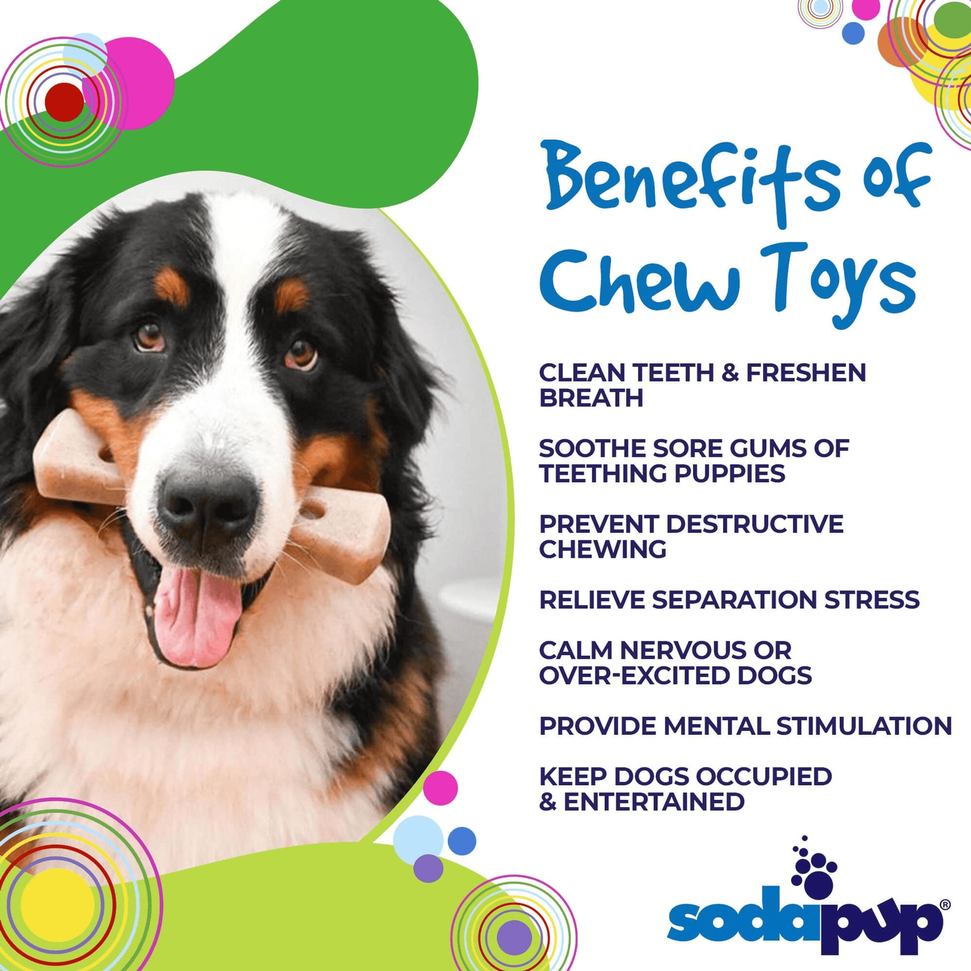 SP MOD Bone Ultra-Durable Chew Toy for Aggressive Dogs-4